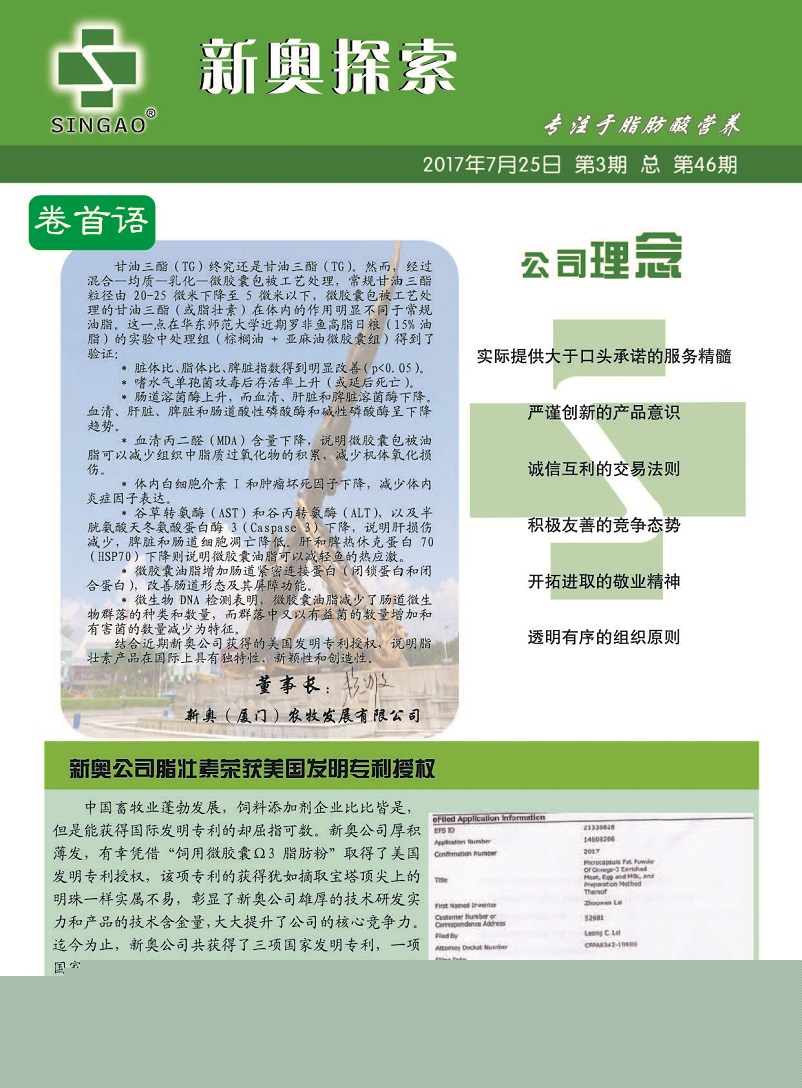 2025澳门正版免费精准大全全面释义、科学解答解释落实